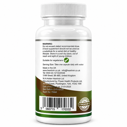 Ginkgo Biloba & Ginseng Complex – 30 Capsules